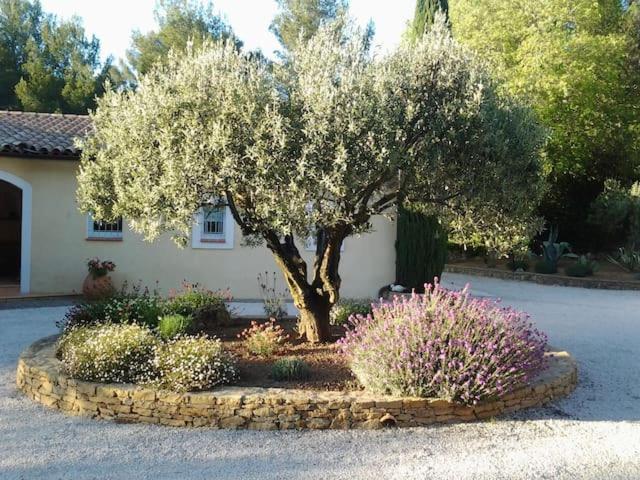 Villa Maison Privee Au Calme Dans Mas Provencal Sanary-sur-Mer Exterior foto